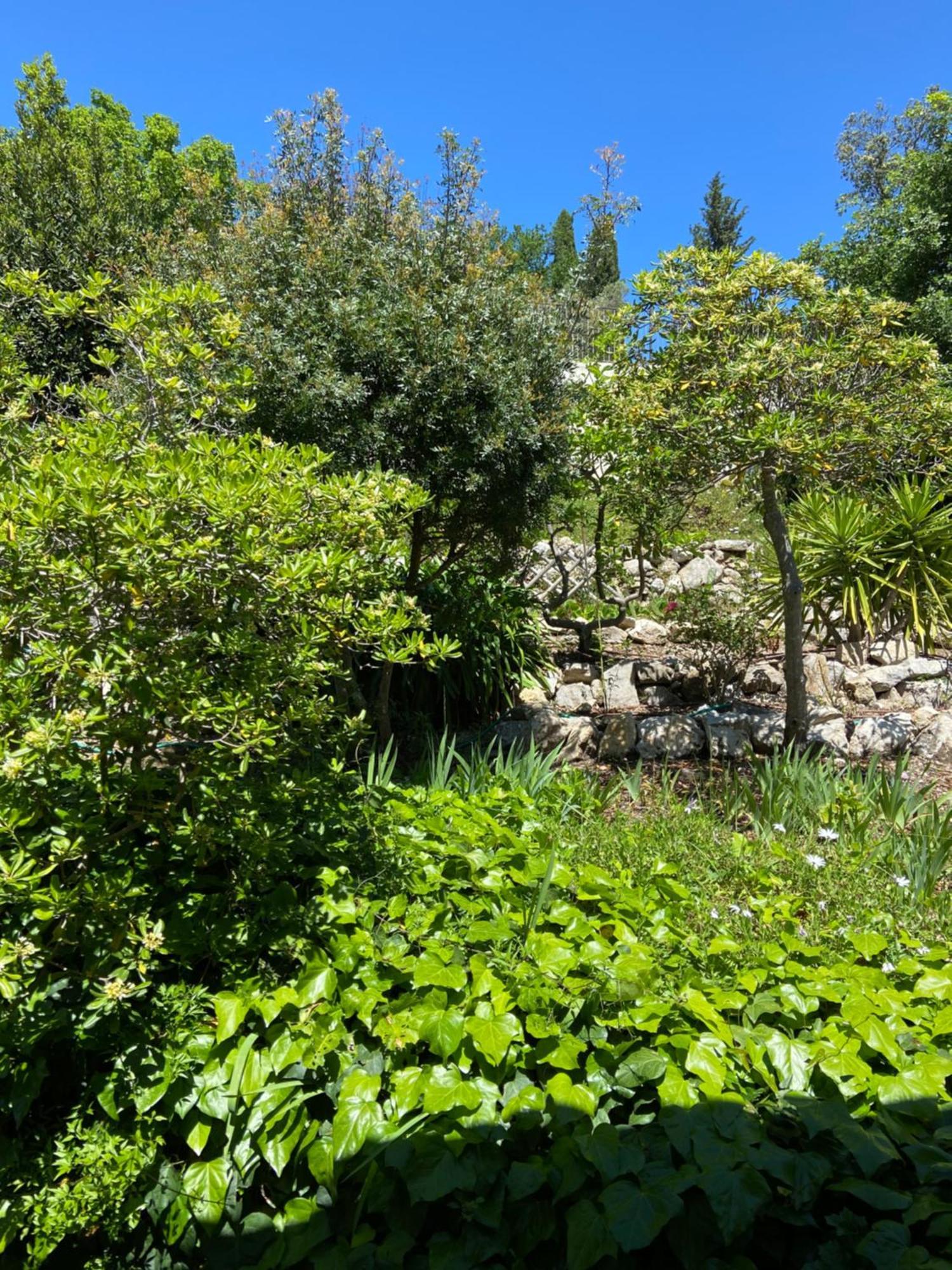 Hotel Les Belles Terrasses Tourrettes-sur-Loup Exterior foto